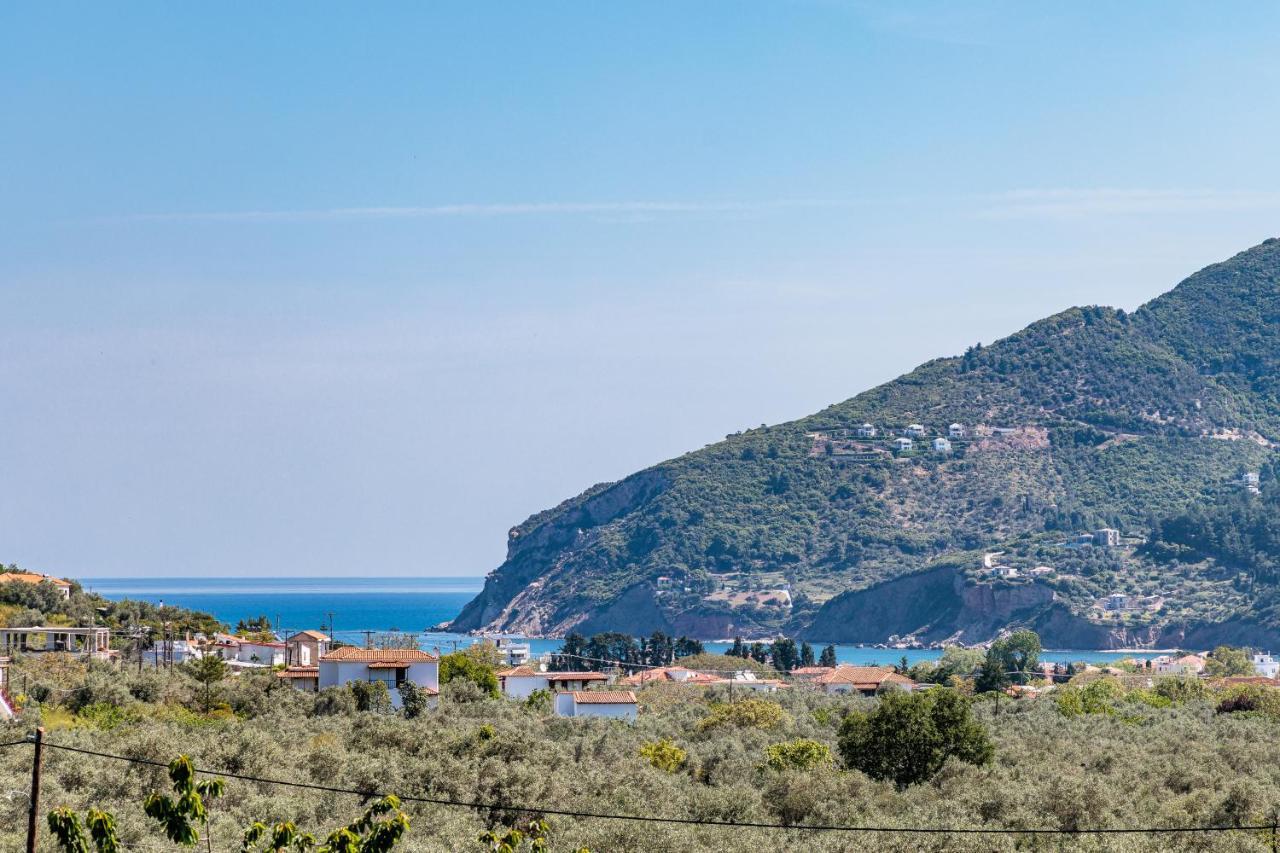 Eleonora's Skopelos Town