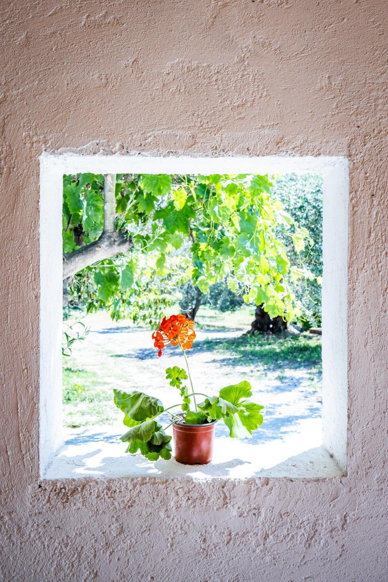 Eleonora's Holiday home